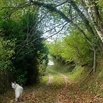 度假居 Oihaneko Etxea, La Grange Dans La Foret *
