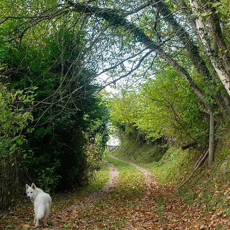 Semesterbostad Oihaneko Etxea, La Grange Dans La Foret *