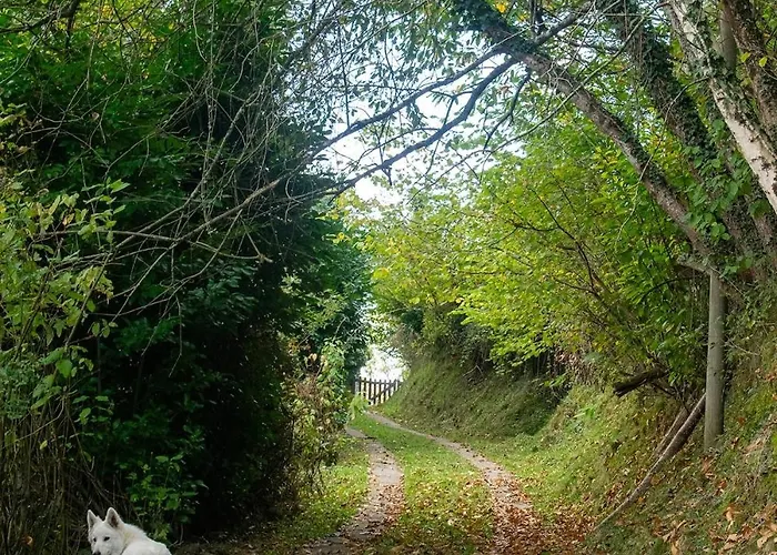 펜션 Oihaneko Etxea, La Grange Dans La Foret *